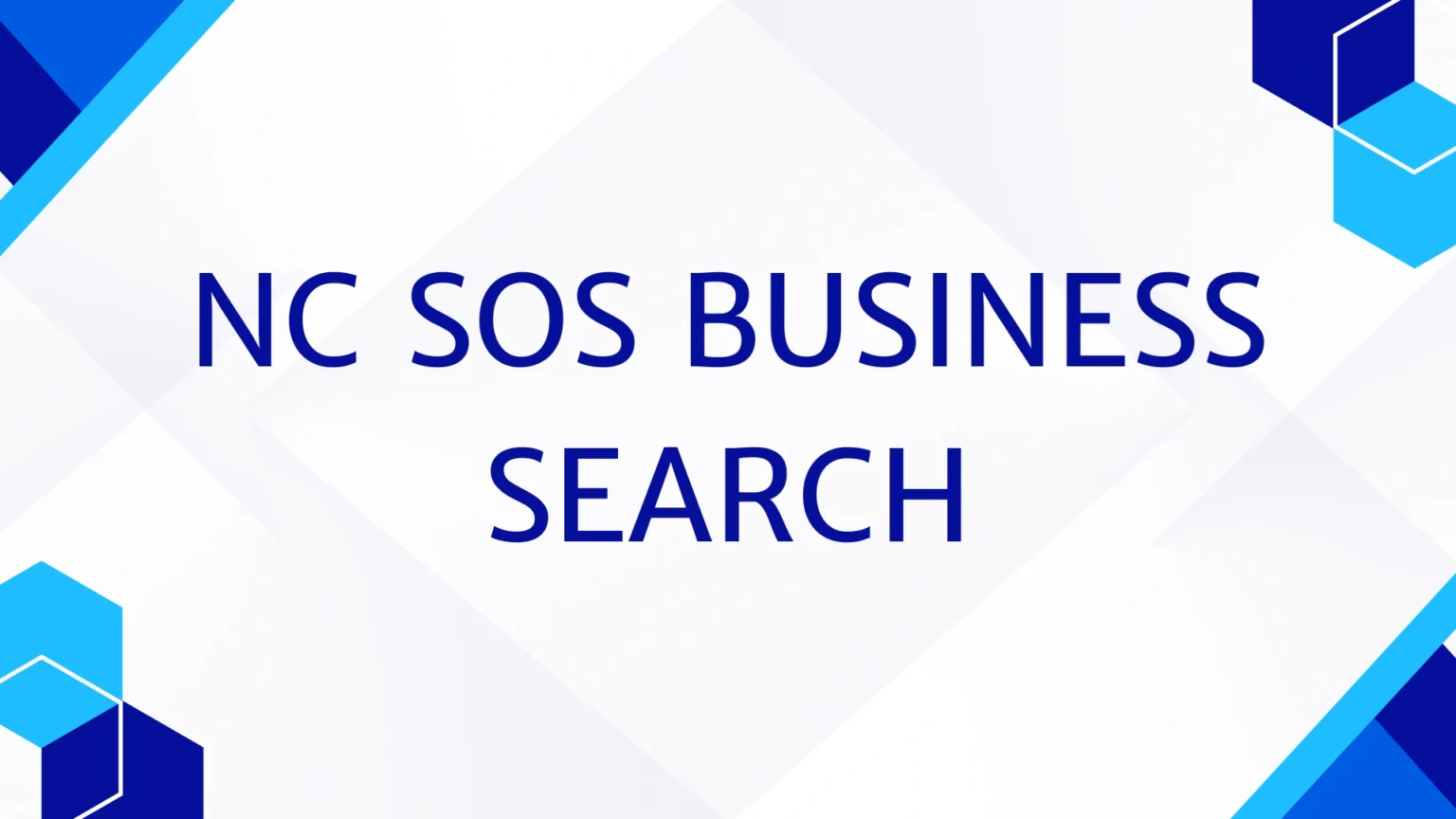 NC SOS Business Search